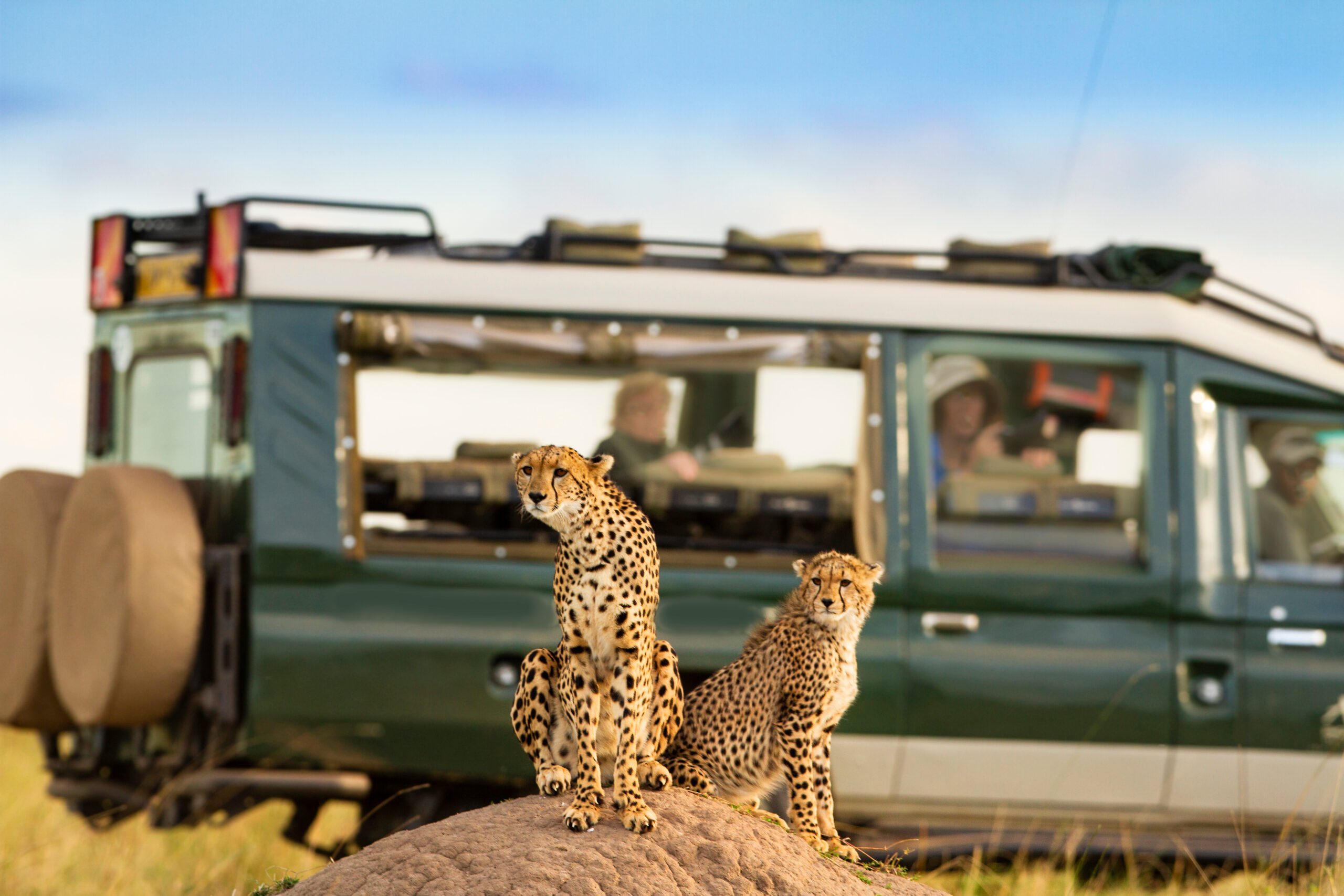 8 Days Selous, Mikumi & Ruaha NP