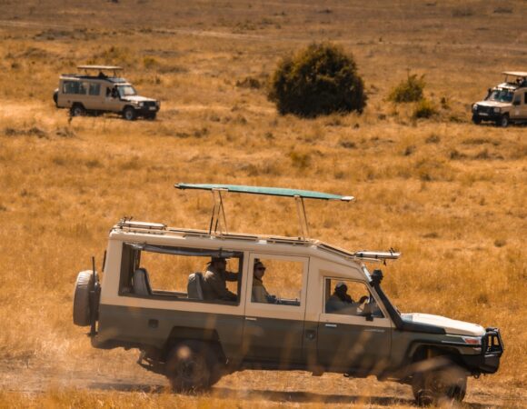 4 Days Tarangire, Serengeti & Ngorongoro Crater