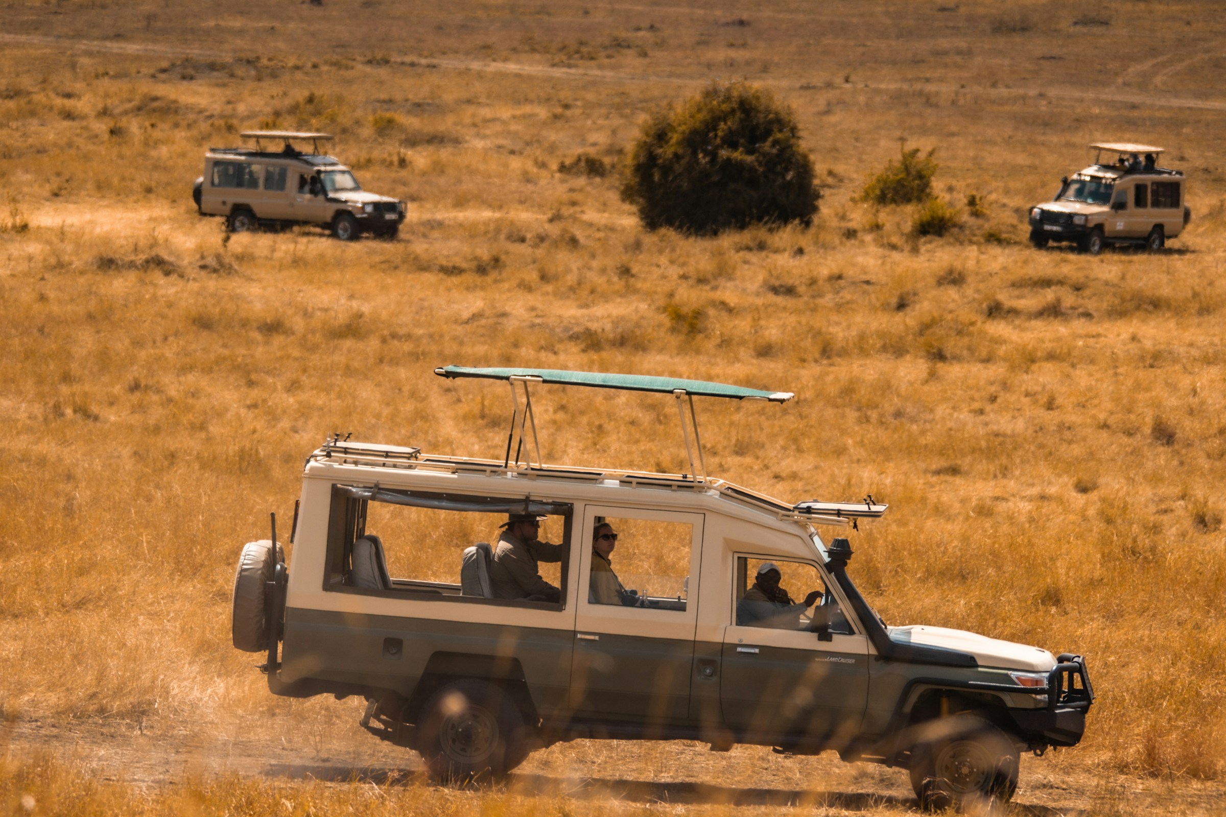 4 Days Tarangire, Serengeti & Ngorongoro Crater