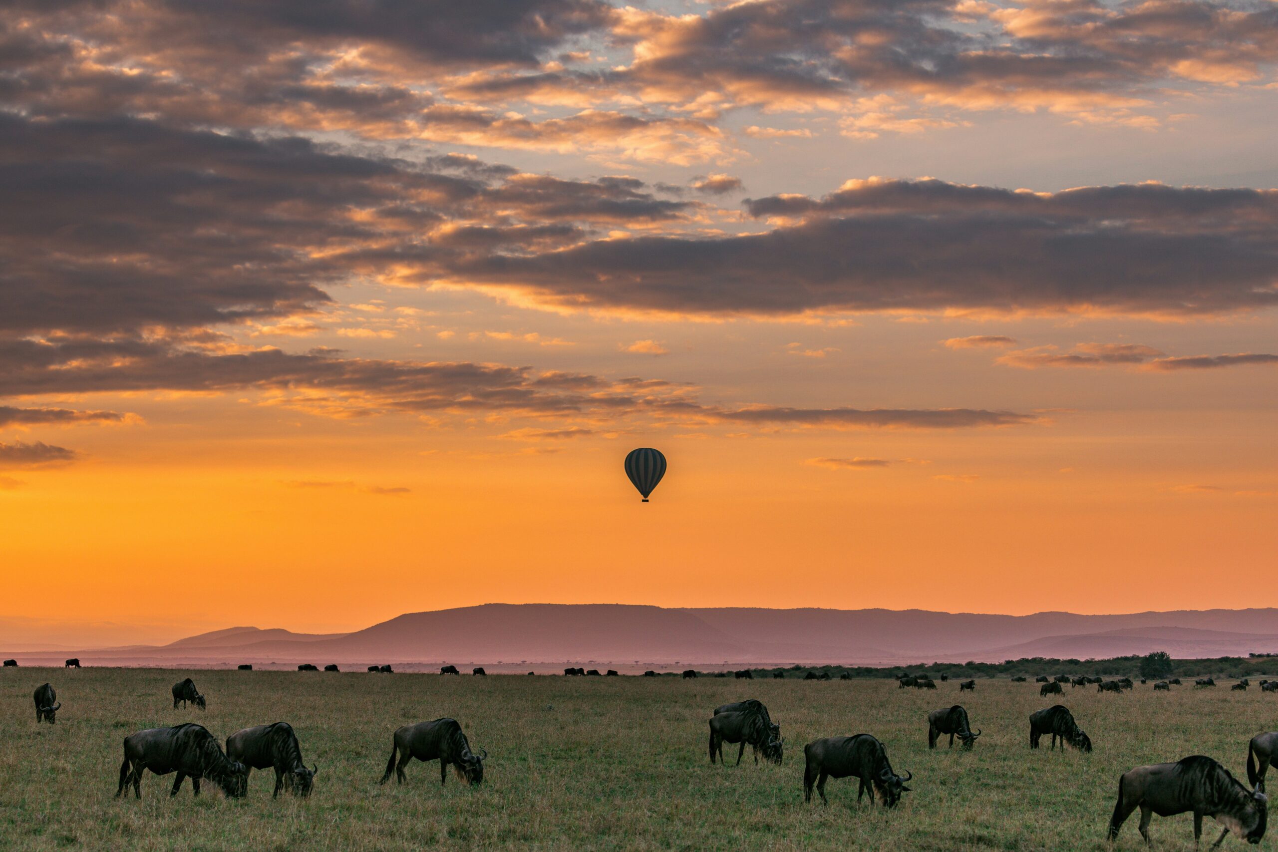 Serengeti National Park